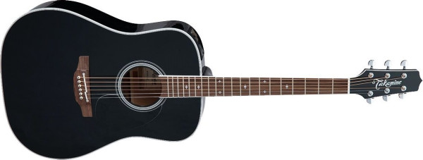 Takamine FT341